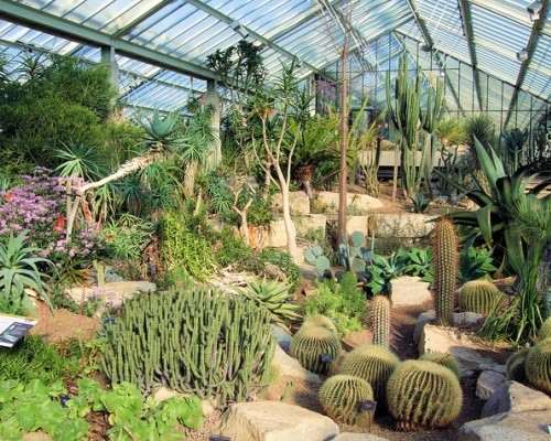 Les 10 plus beaux jardins botaniques d'intérieur du monde