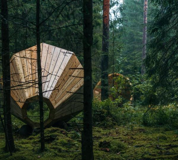 Los megáfonos de madera que amplifican los sonidos de la Naturaleza