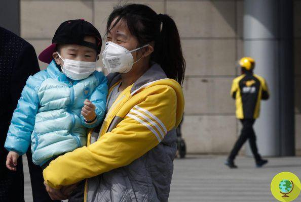 Smog particles accumulate in the brain