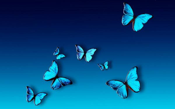The wonderful legend of the blue butterfly