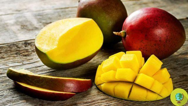 Mango peel: natural ally for weight loss