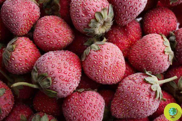 Cómo y por qué debería congelar las fresas para tenerlas disponibles todo el año