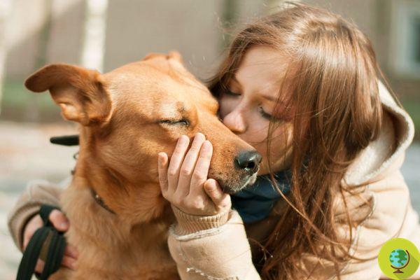 O que torna os cães tão especiais? A ciência não tem dúvidas: o amor!