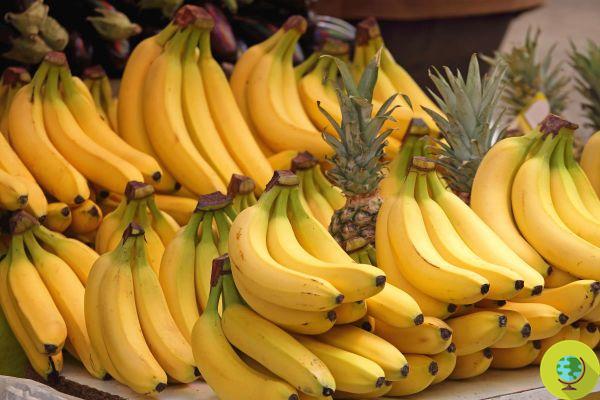 ¿Sabes cuántas calorías tiene un plátano?