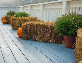 Halloween: Ecological outdoor decorations