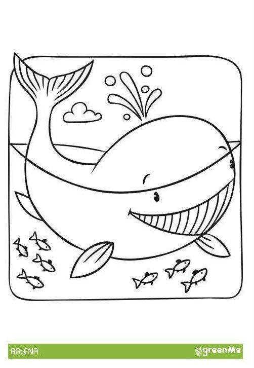 Coloring pages: 45 animals to download and printable for free