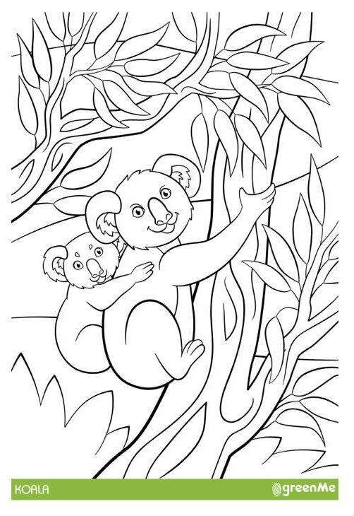 Coloring pages: 45 animals to download and printable for free