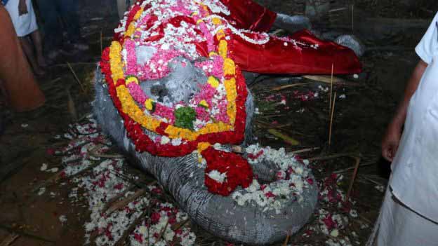 Muere Dakshayani, el elefante más viejo del mundo mantenido en cautiverio