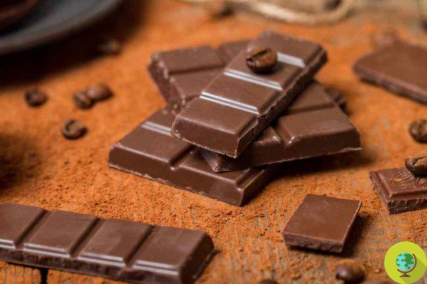 Cacao: descubierto nuevo y sorprendente efecto beneficioso de comer chocolate negro después de los 60