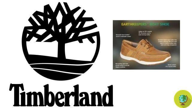 Timberland lance la chaussure qui se démonte et se recycle