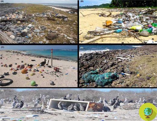 200 tons of plastic on just 0,6 km2 of beach in the remote Cocos Islands