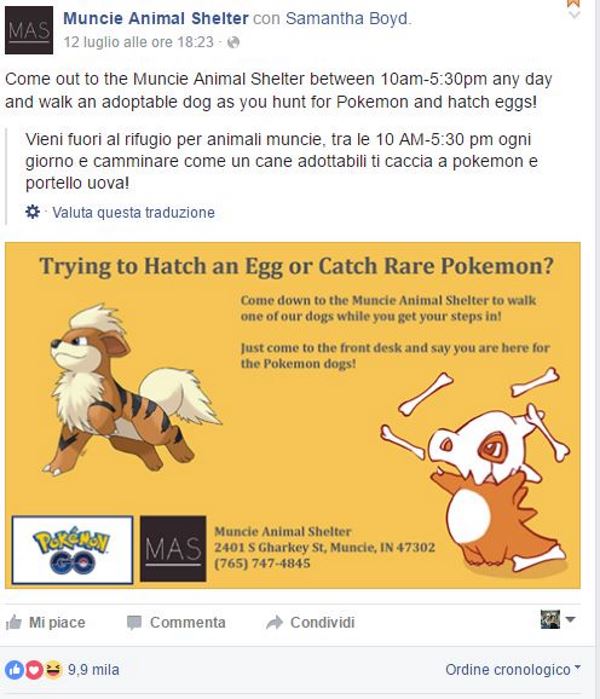 AAA, se buscan jugadores de Pokémon go para ayudar a albergar perros