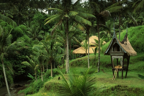Panchoran Retreat : le refuge en bambou qui recycle les vieux poteaux téléphoniques (PHOTO)