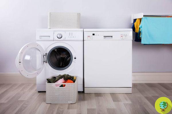 Se você quiser evitar o mofo, lembre-se de fazer isso toda vez que lavar a roupa na máquina de lavar (trivial, mas fundamental)