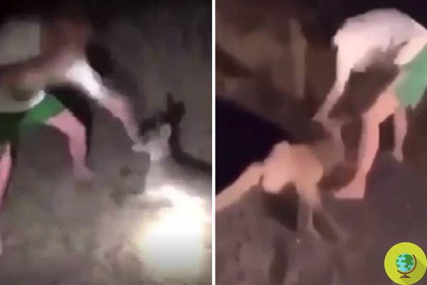 He punches a helpless kangaroo after hitting him and gets filmed. The creepy video