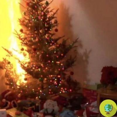 Fire caused by Christmas tree lights kills a family in the USA