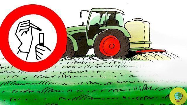 Pesticide abolition in agriculture: Switzerland prepares to vote historic referendum, first in the world