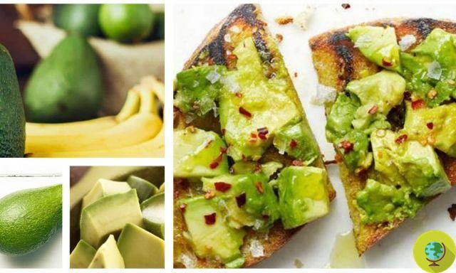 Avocado: great ally against blood sugar, hypertension and bad cholesterol
