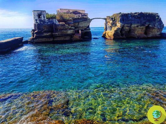 Parque Sumergido de Gaiola: en el Golfo de Nápoles, una maravillosa área marina protegida para proteger