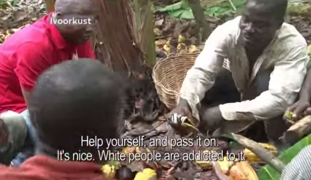 Cocoa farmers taste chocolate for the first time (VIDEO)