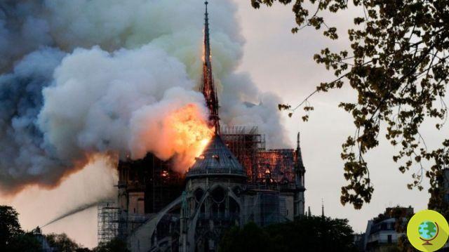 Notre-Dame fire: the structure is safe. That's why Canadair couldn't be used