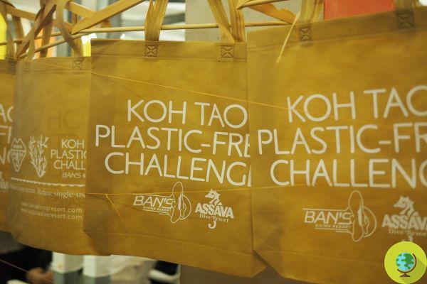 La Thaïlande veut réduire ses déchets et interdit les sacs plastiques