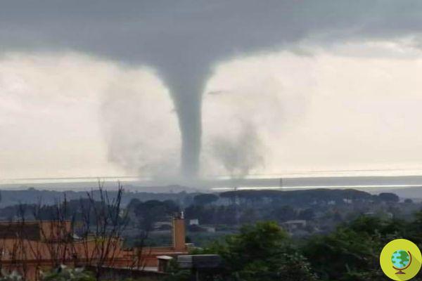 Whirlwind sème la panique parmi les citoyens de la région de Trapani