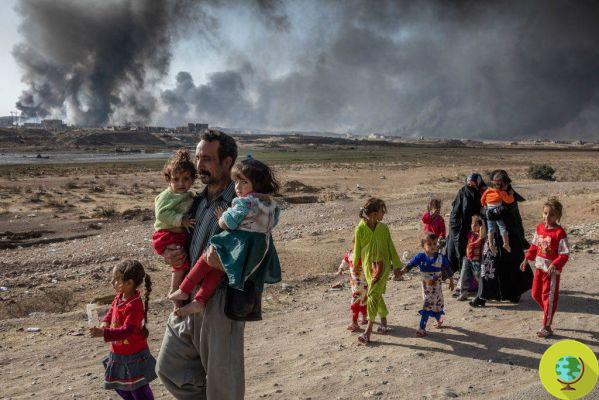Atrapados bajo las bombas: la tragedia de miles de niños en Siria e Irak
