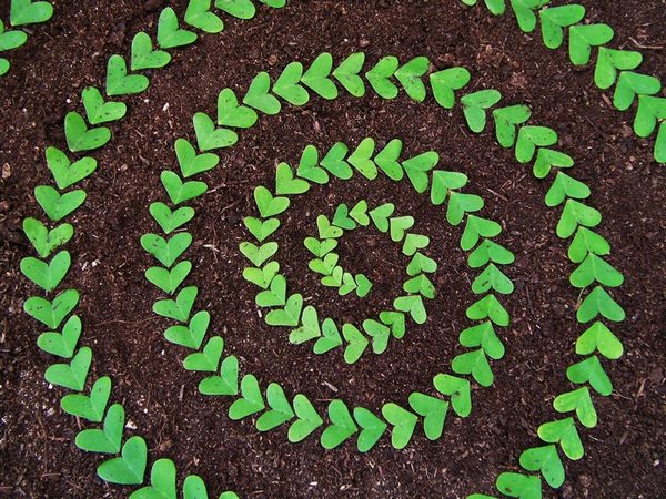 The extraordinary and surprising natural mandalas of Ana Castilho (PHOTO and VIDEO)