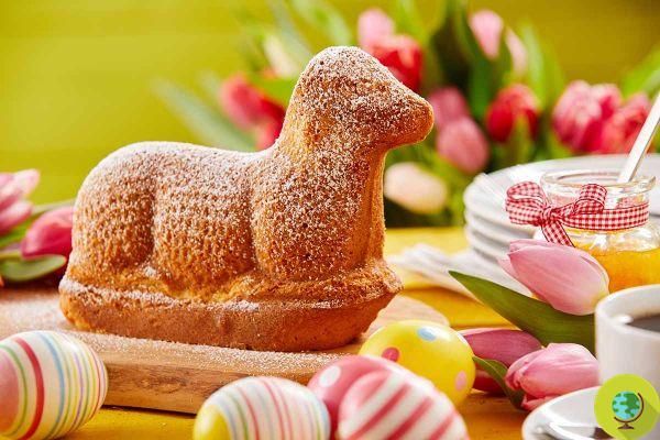 Easter lamb: 3 delicious and original recipes to bring it to the table without killing anyone