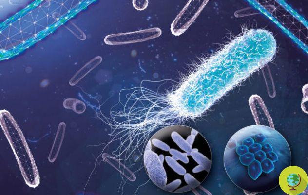 New antibiotic discovered against drug-resistant super bacteria