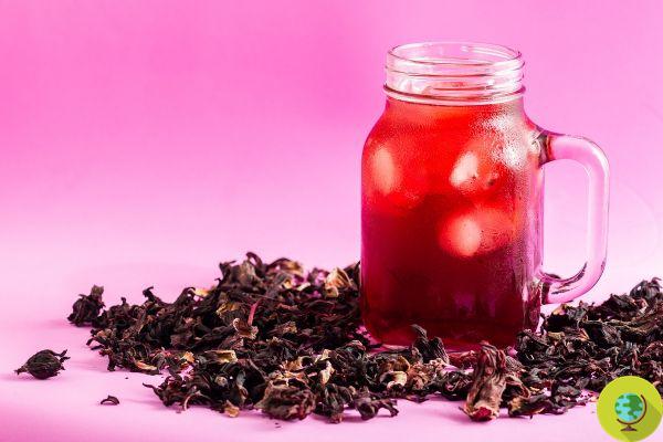 Bissap: the traditional Senegalese recipe for a drink with dried hibiscus flowers