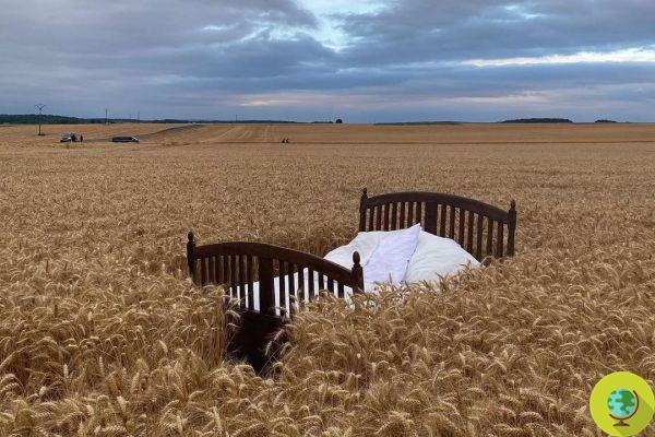Un lit dans un champ de blé : défilés de mode dans les champs avec Jacquemus