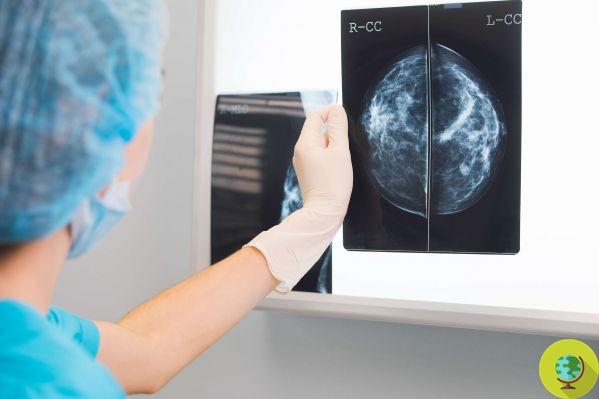 Bisfenol A: promueve el cáncer de mama y hace que los tumores sean resistentes a la quimioterapia