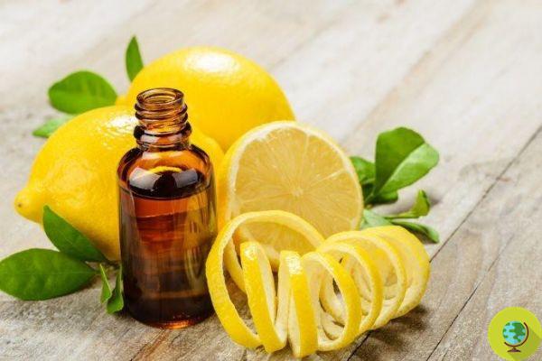 Lemon essential oil: properties and all uses