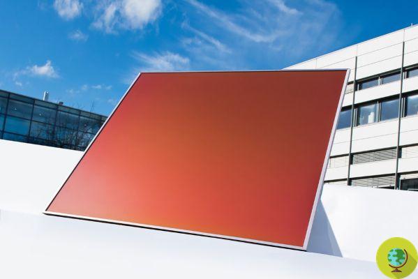 O fotovoltaico colorido sem pigmento inspirado nas asas de borboleta