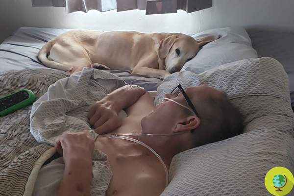 Inseparables: Un hombre con cáncer y su perro murieron una hora después