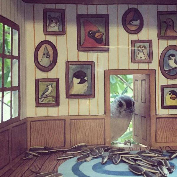 Tiny House, as maravilhosas mini casas para pássaros (FOTO)