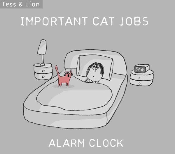 The funny illustrations showing cats at work