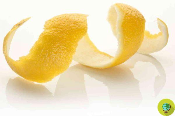 Le zeste de citron améliore la mémoire (et pourrait aider les patients atteints de la maladie d'Alzheimer). j'étudie
