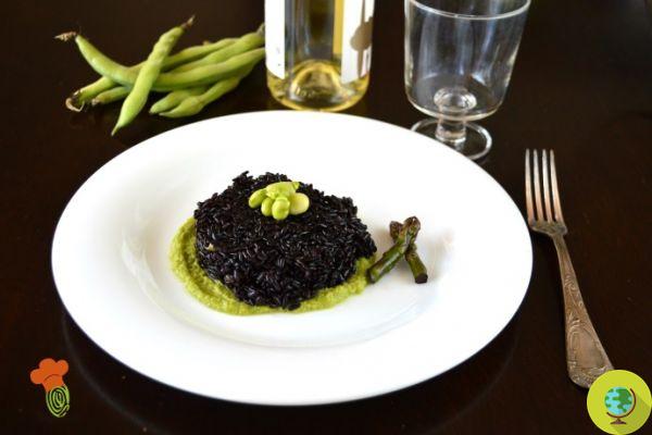 Venere rice with asparagus cream and fresh broad beans