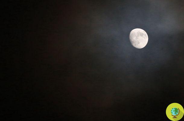 Full moon: affects sleep, shortens it and makes it more difficult to fall asleep