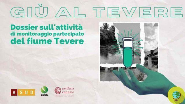 The Tiber is bad, you can find traces of Escherichia coli and glyphosate in its waters