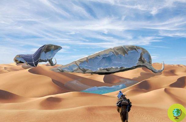 Riego solar para el pueblo del Sahara