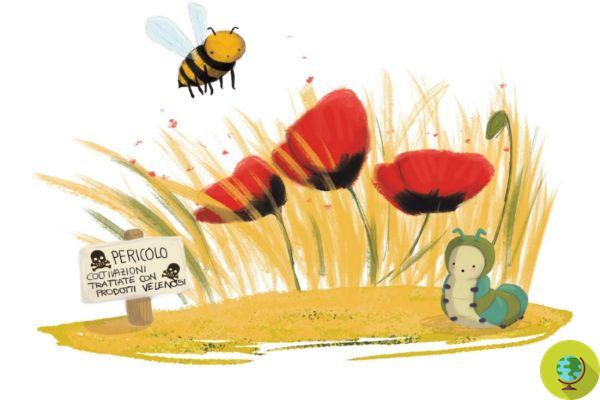 Abelhas: os melhores livros infantis para ensiná-los a importância desses insetos