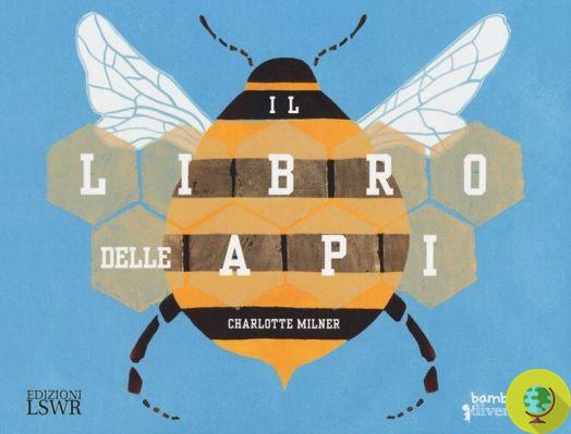 Abejas: Los mejores libros infantiles para enseñarles la importancia de estos insectos