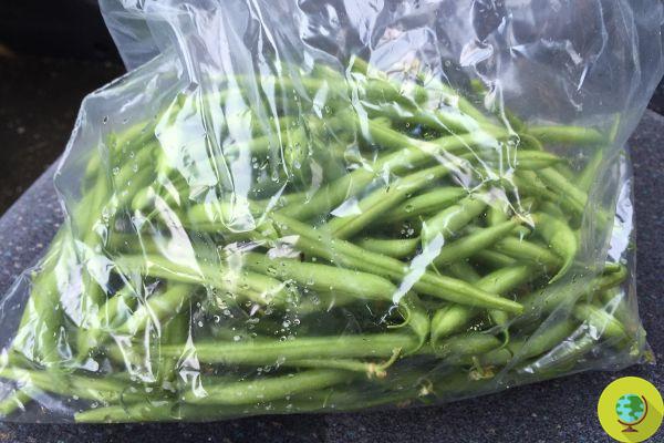 How to store green beans: tricks and infallible recipes to have them available all year round