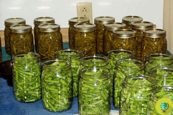 How to store green beans: tricks and infallible recipes to have them available all year round