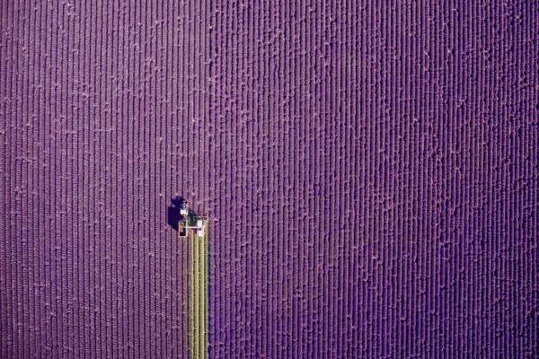 The world seen from a drone: the suggestive winning images of Dronestagram
