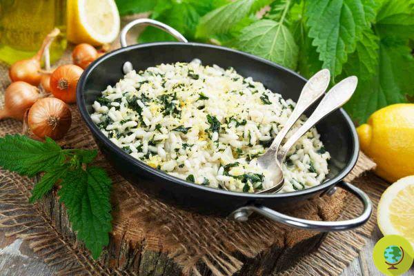 Risotto Alle Nettles